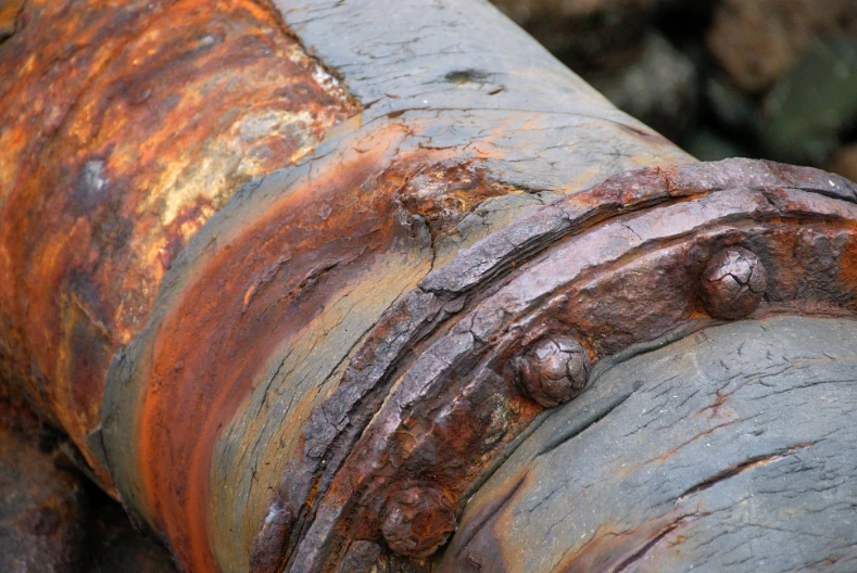 Combating Corrosion with Knowledge and Tools