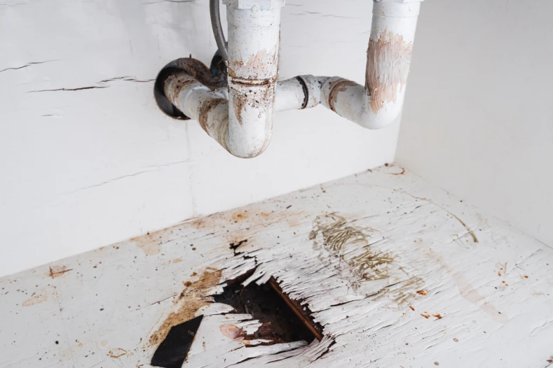 Frequent use of the kitchen sink, dishwasher, and water lines for refrigerators puts a strain on your plumbing. 
