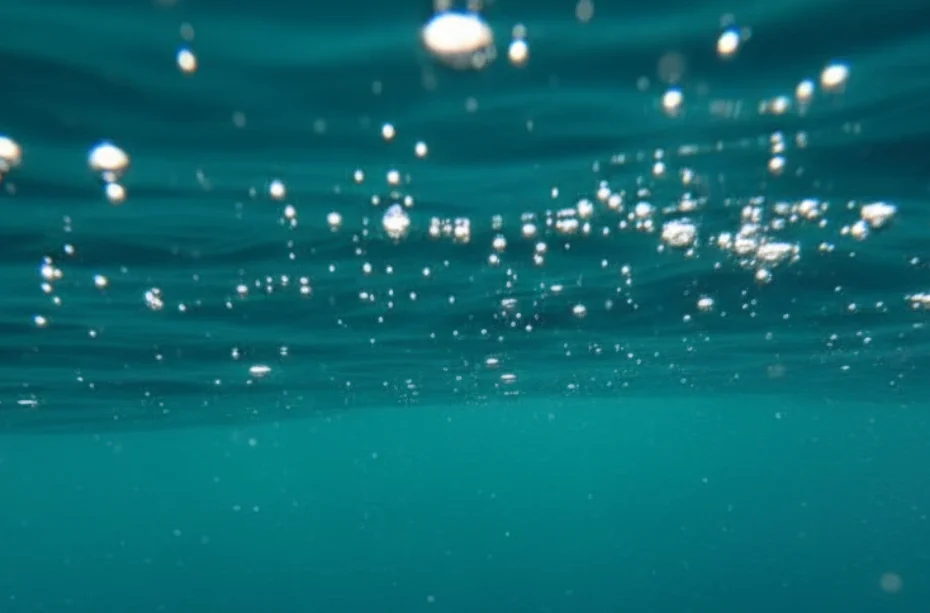 Chloramine in Lee County Water: Understanding Its Impact on Rubber Gaskets, Water Heater Elements, and Plumbing Lifespan.